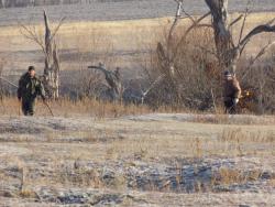 post-29766-0-13479600-1447092164_thumb.j