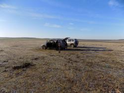 post-29766-0-25523200-1447092229_thumb.j