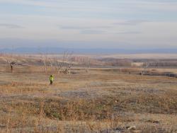 post-29766-0-33749400-1447092189_thumb.j