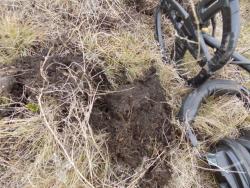 post-29766-0-38485700-1448213014_thumb.j