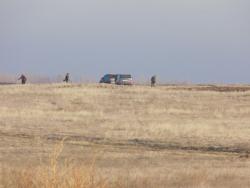 post-29766-0-38920200-1448815058_thumb.j