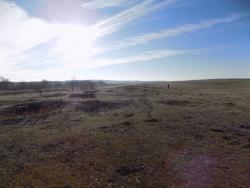 post-29766-0-40295200-1447092251_thumb.j