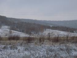 post-29766-0-41636800-1447521830_thumb.j