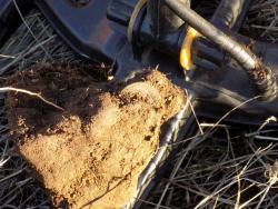 post-29766-0-50562700-1448815107_thumb.j