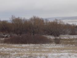 post-29766-0-55571500-1447521792_thumb.j