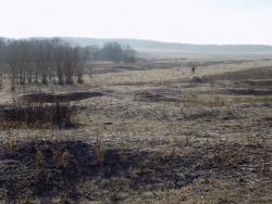 post-29766-0-56517100-1447092208_thumb.j