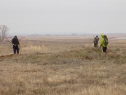 post-29766-0-57539400-1448212901_thumb.j