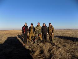 post-29766-0-62519000-1448815090_thumb.j