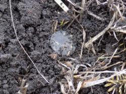 post-29766-0-84487100-1448305883_thumb.j