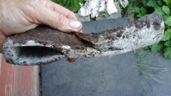 post-30211-0-00536100-1446607354_thumb.j