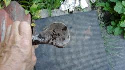 post-30211-0-53869200-1446607389_thumb.j