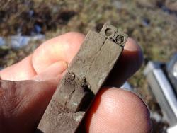 post-30211-0-99434900-1447954328_thumb.j