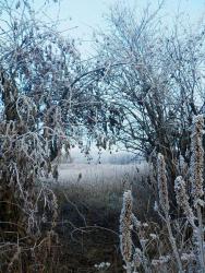 post-31368-0-21771600-1447006040_thumb.j