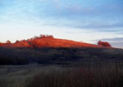 post-31368-0-71133200-1447005639_thumb.j