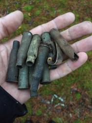 post-31887-0-16287100-1447410364_thumb.j