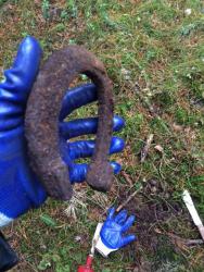 post-31887-0-29909800-1447410483_thumb.j