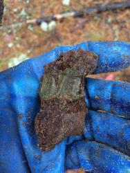 post-31887-0-41358600-1447410397_thumb.j