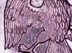 post-32471-0-29748800-1448875004_thumb.p