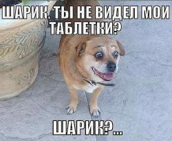 post-32585-0-74114000-1446554337_thumb.j