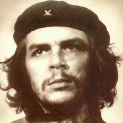 post-32659-0-65782600-1448125322_thumb.j