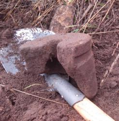 post-33353-0-07788900-1446882070_thumb.j