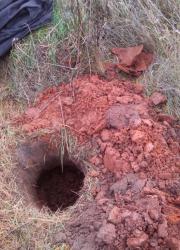 post-33353-0-12831700-1446879853_thumb.j