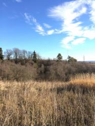 post-34042-0-04422700-1446827468_thumb.j