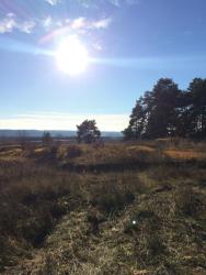 post-34042-0-85034200-1446827457_thumb.j