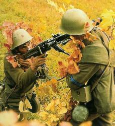 post-35047-0-70226100-1448731284_thumb.j