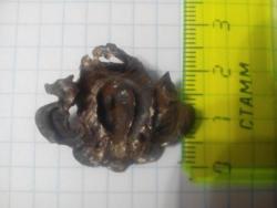 post-35377-0-11999900-1447011152_thumb.j