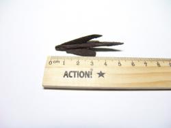 post-35693-0-00235300-1446570804_thumb.j