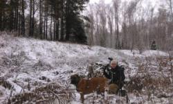 post-35888-0-09679500-1448393422_thumb.j