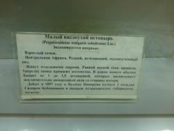 post-4533-0-22907700-1446980944_thumb.jp