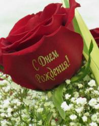 post-5088-0-13786500-1446731333_thumb.jp