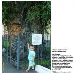 post-1131-0-04453100-1292843120_thumb.jp