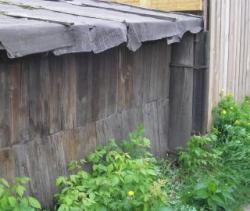 post-1724-0-59875500-1292605791_thumb.jp