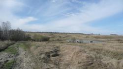 post-2369-0-12684900-1291295891_thumb.jp