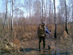 post-2369-0-17057600-1291983040_thumb.jp