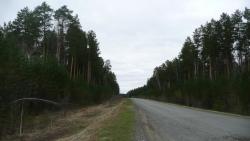 post-2369-0-30348900-1291296276_thumb.jp