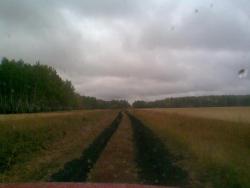 post-2369-0-46411900-1291984039_thumb.jp