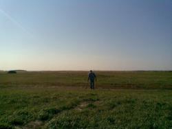 post-2369-0-50607500-1291984117_thumb.jp