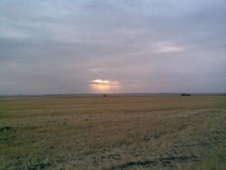 post-2369-0-55513000-1291984316_thumb.jp