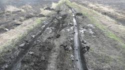 post-2369-0-61772300-1291296411_thumb.jp