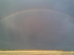 post-2369-0-69651600-1291984293_thumb.jp