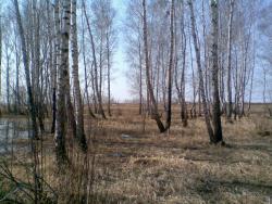 post-2369-0-70194000-1291983056_thumb.jp