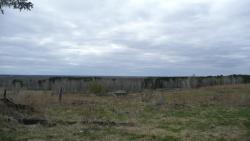 post-2369-0-79192800-1291295508_thumb.jp