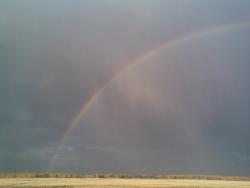 post-2369-0-80982100-1291984150_thumb.jp