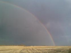 post-2369-0-87549500-1291984173_thumb.jp