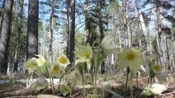 post-2369-0-90500600-1291295630_thumb.jp