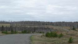 post-2369-0-94294500-1291295355_thumb.jp